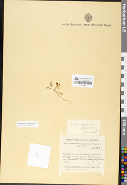 LE 01050807