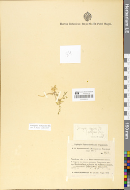 LE 01050810