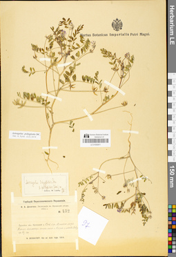 LE 01050811