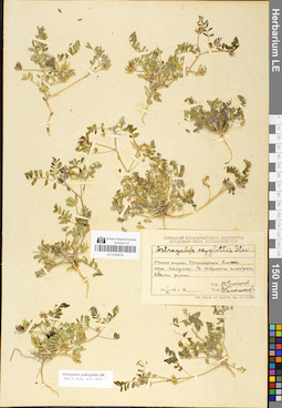 LE 01050818