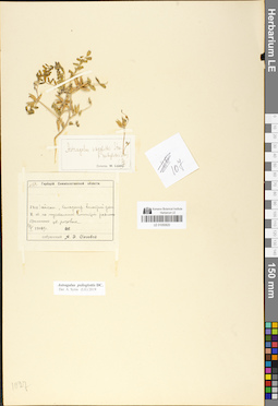 LE 01050820