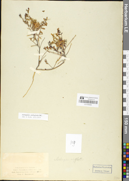 LE 01050850
