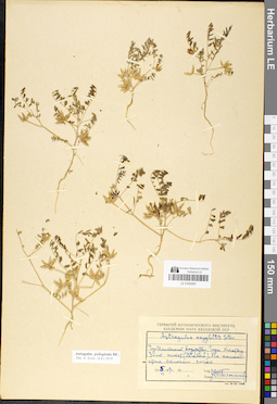 LE 01050857