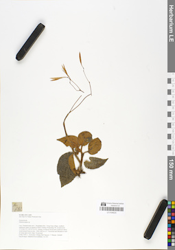 LE 01048225
