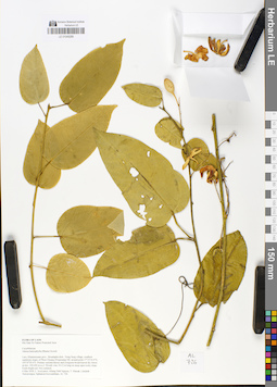 LE 01049289