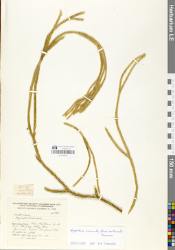 LE 01048373