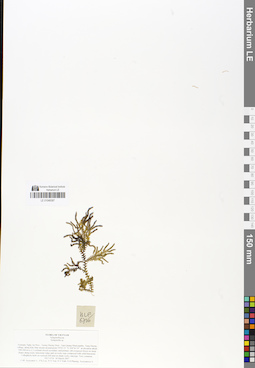 LE 01048387