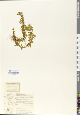 LE 01048393