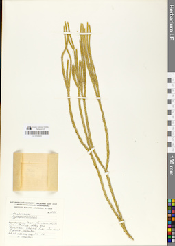 LE 01048419