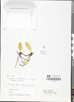 LE 01048492