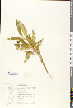 LE 01049308