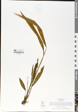 LE 01049940