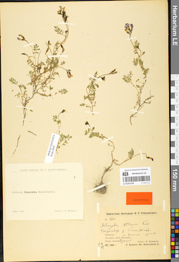 LE 01051478