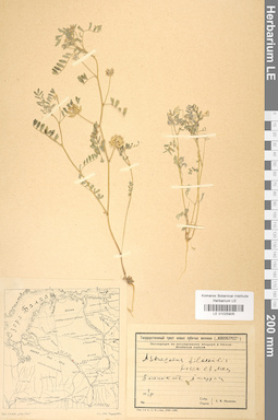 LE 01025905