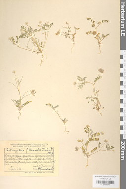 LE 01025907