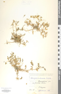 LE 01025908