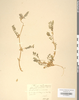 LE 01025910