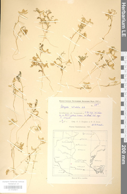 LE 01025911