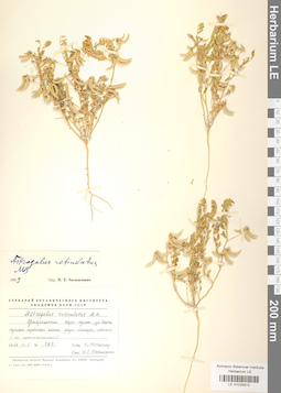 LE 01025912