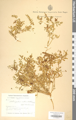 LE 01025913