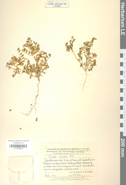 LE 01025914