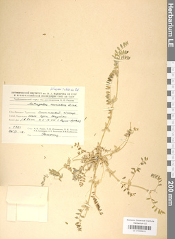 LE 01025915