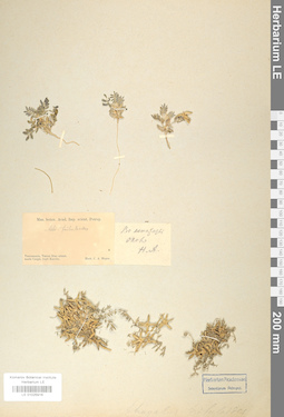 LE 01025916