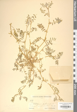 LE 01025917