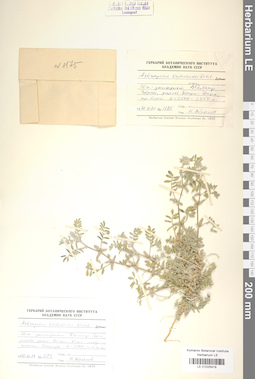 LE 01025919