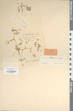 LE 01036220