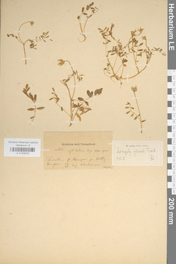 LE 01036232