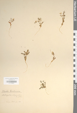 LE 01036251