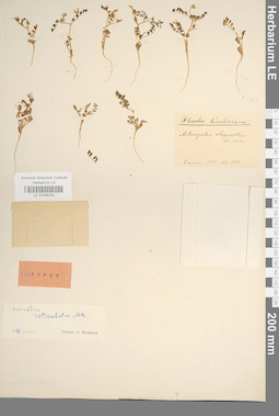 LE 01036253