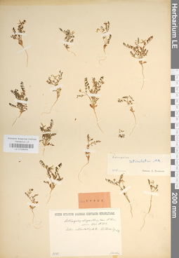 LE 01036254