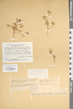 LE 01036258