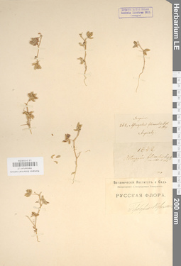 LE 01036259