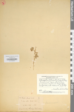LE 01036260