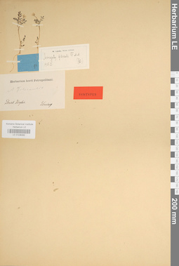 LE 01036262