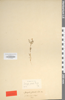 LE 01036263