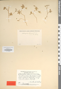 LE 01036265