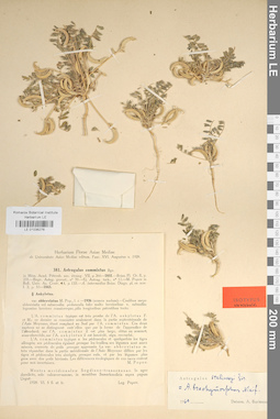 LE 01036276