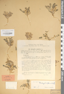 LE 01036277