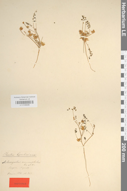 LE 01036289