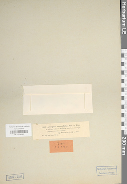 LE 01036290