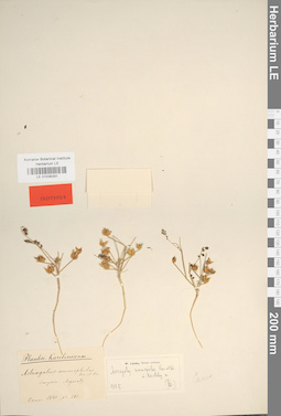 LE 01036291