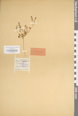 LE 01036292