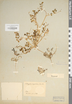 LE 01036303