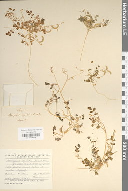 LE 01036319