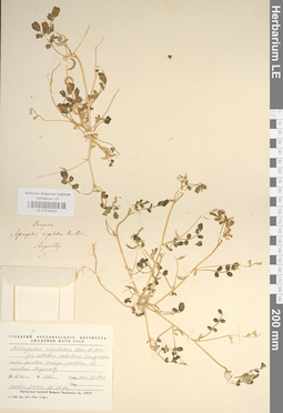 LE 01036320