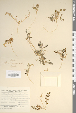 LE 01036321